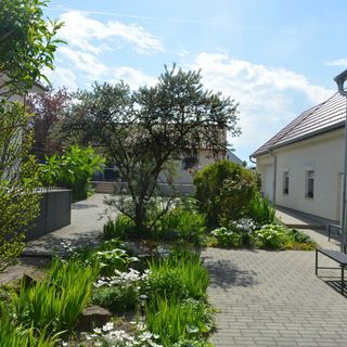 Csenár Apartman III. Hegykő (2)