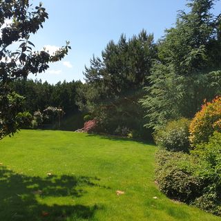 Lili Apartmanház Badacsonytomaj (3)