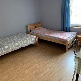 Agroturystyka Pod Świerkami Starków  (2)