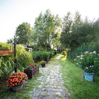 Az én szigetem Vendégházak Szarvas (2)