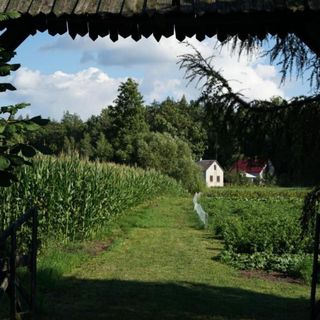 Gospodarstwo agroturystyczne Biebrzanska Goscina Karczewo (4)