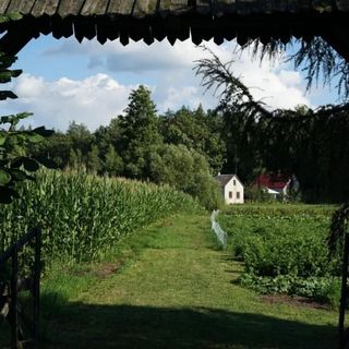 Gospodarstwo agroturystyczne Biebrzanska Goscina Karczewo (4)