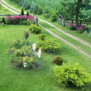 Gospodarstwo agroturystyczne Biebrzanska Goscina Karczewo (5)