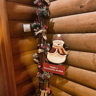 Drevenička Anička Liptovský Trnovec (4)