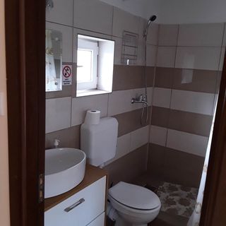 Casa Simon Rimetea (5)