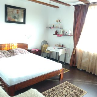 Casa Tomson Oradea (5)