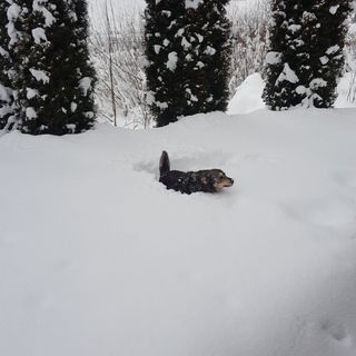 Casa Bella Apuseni Vadu Moților (4)