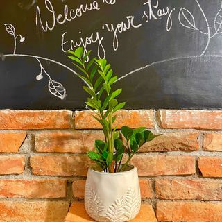 Red Studio a la Cluj-Napoca (4)