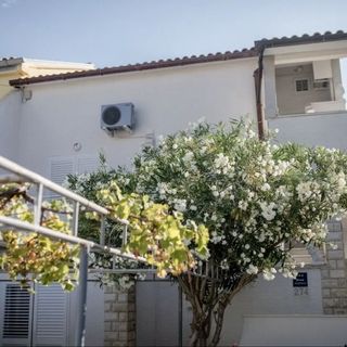 Apartmani Hotic Orhideja Barbat (5)