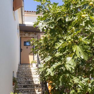 Apartman Mundanije - CKR792 (4)