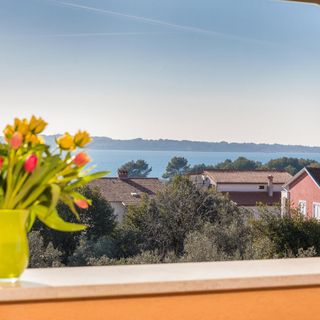 Apartman Fažana - CIF940 (4)