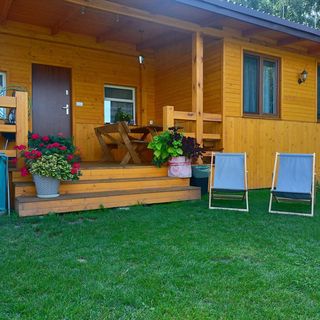 Brzozowy Gaj Orzechów Kolonia (2)