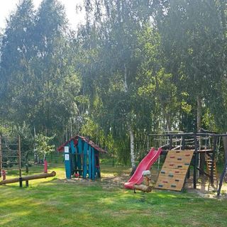 Brzozowy Gaj Orzechów Kolonia (3)