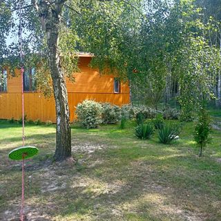 Brzozowy Gaj Orzechów Kolonia (5)