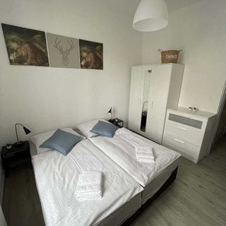 Apartmán Jasmína v Jeseníkách Karlovice (4)