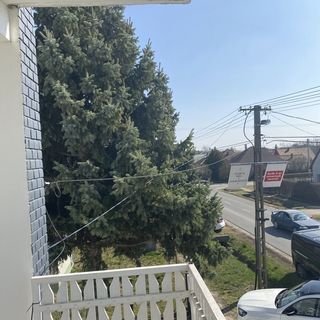 Andrea Munkásszálló Pusztaszabolcs (3)