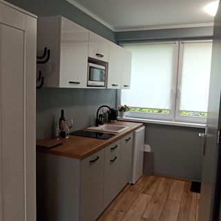 Apartamenty Gościnne Idylla Kudowa-Zdrój (4)