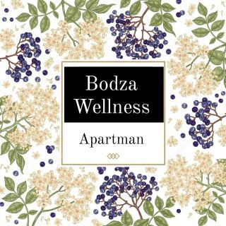 Bodza Wellness Apartman Hajdúszoboszló (2)