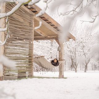 Conacu' Iancu Ginta (4)