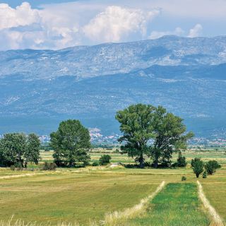 Apartman Trilj - CSC233 (4)