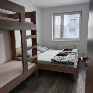 Apartmán Karolína Poděbrady (4)