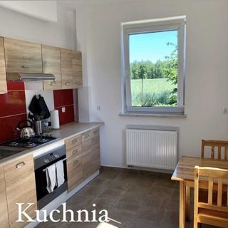 Wypoczynek w Borach Wełpin (3)