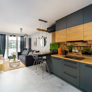 Perłowa Przystań Rent - Loft House (2)
