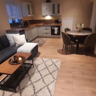 Apartament Górski Krokus Ciche (2)