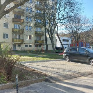 Szürke Macska Vendégszoba Miskolc (2)