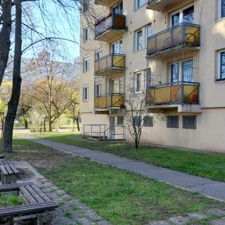 Szürke Macska Vendégszoba Miskolc (4)