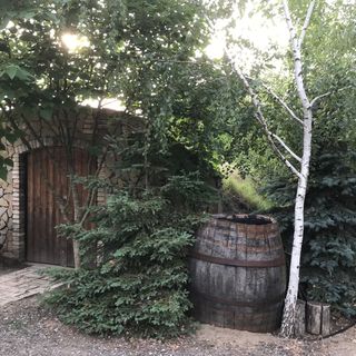 FeketeFenyő Vendégház Soltvadkert (3)