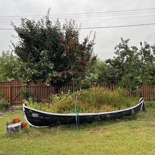 Pensiunea Pagaya Gorgova (4)