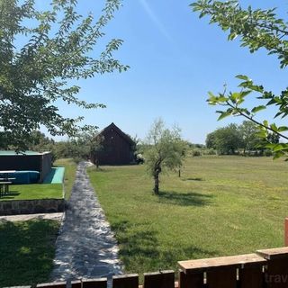 Pensiunea Pagaya Gorgova (5)