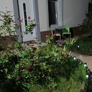 Juli Apartman Várpalota (3)