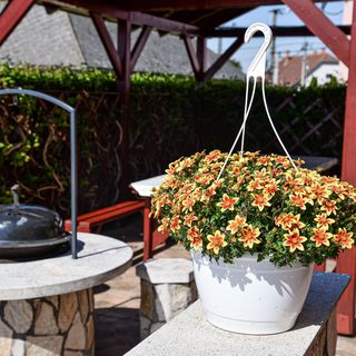 Hajnal Apartman Hajdúszoboszló (3)