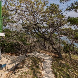 Apartman Novalja - CKP020 (3)