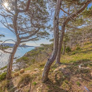 Apartman Novalja - CKP023 (4)