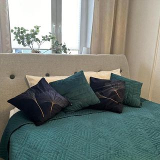 Apartment Ustroń (3)