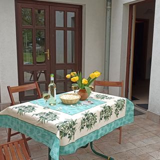 Ágor Vendégház Gárdony (5)