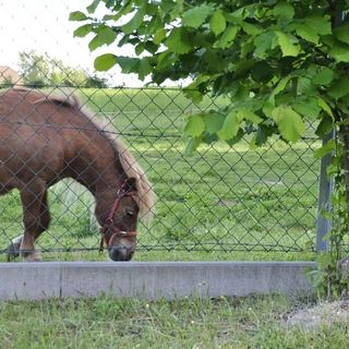Domki na Kaszubach (4)