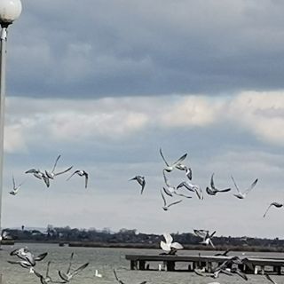 Amur Vendégház Gárdony (5)