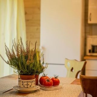 Gościniec Tokarzonka (4)