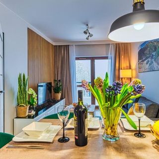 Apartament D19 z Basenem, Sauną, Jacuzzi Green Park Resort - 5D Apartamenty (3)