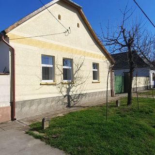 Kis Pöttyös Magánszálláshely Bácsalmás (5)