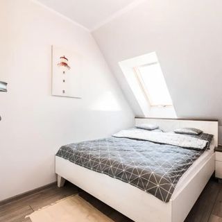 Apartament Monia (3)