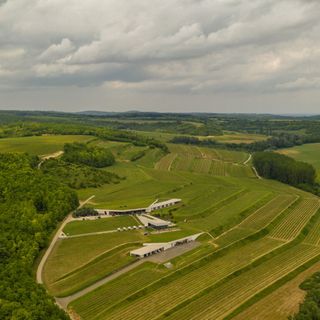 Lajver Borbirtok Szálka (2)