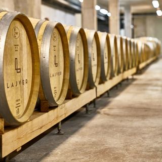 Lajver Borbirtok Szálka (3)