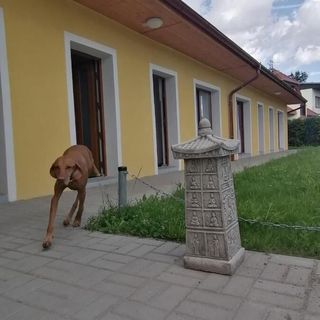 Penzion Loren Františkovy Lázně (3)