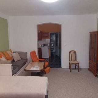 Apartmán Horní Slavkov Hodinářství (5)
