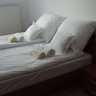 Central Pécs Free Parking Apartman (3)